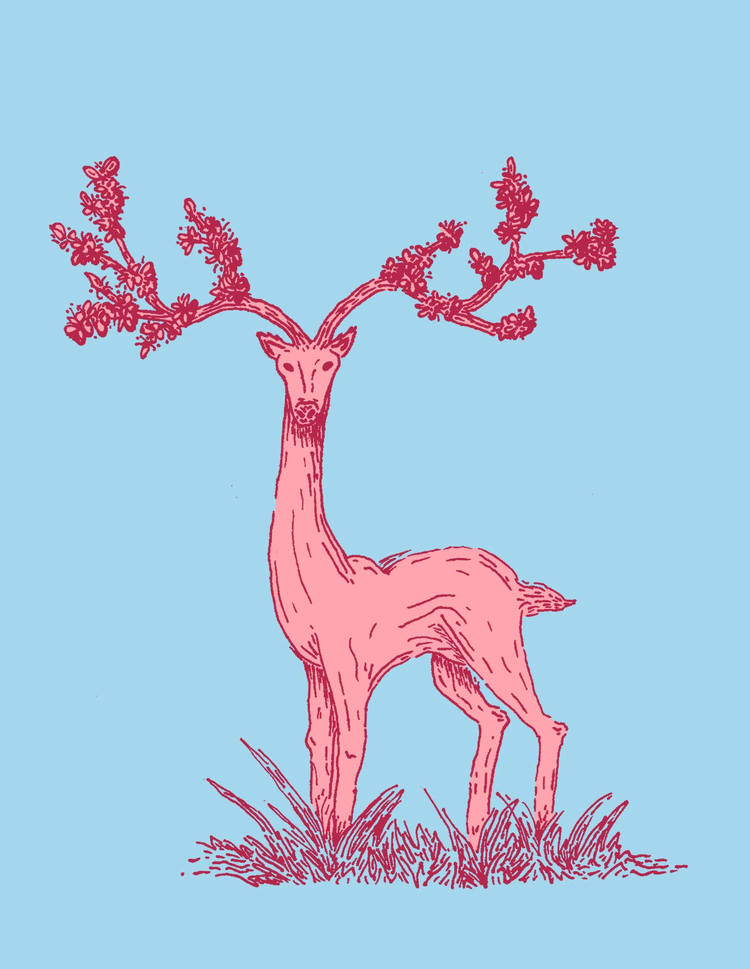 Deer no type.jpg