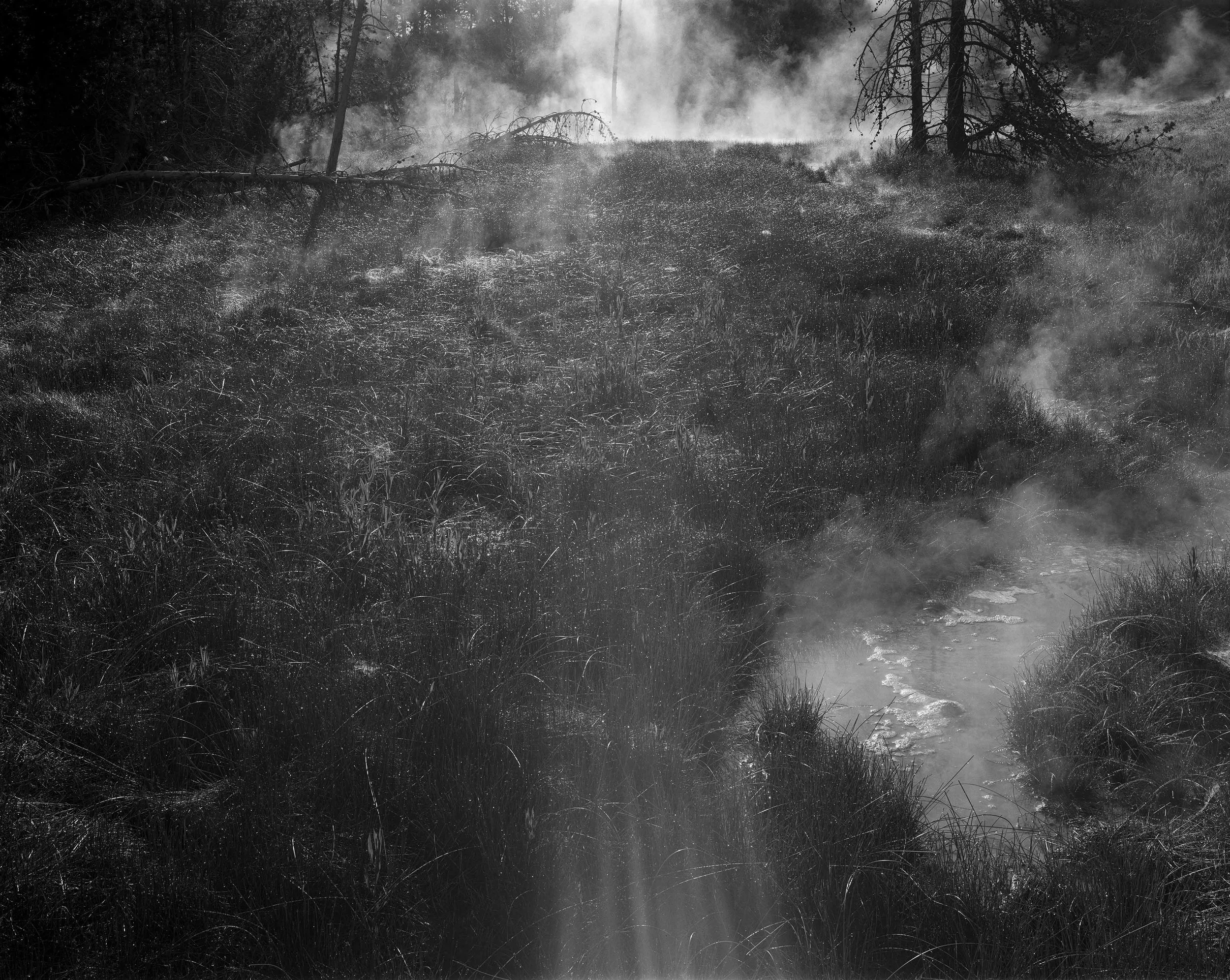 4x5-June-30-2024-A.YNP. artist paint pots.1.135mm.edit-small.jpg