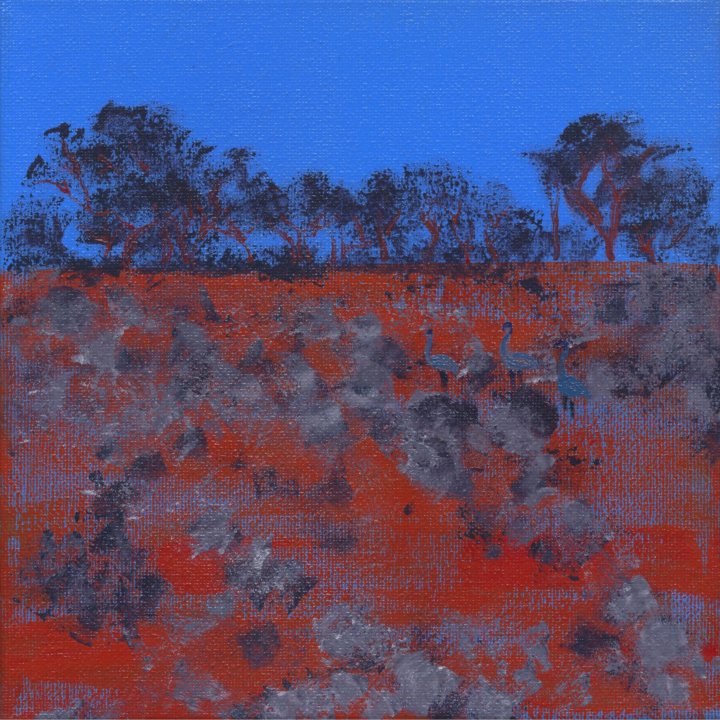 Desert Country, Broken Hill 2014