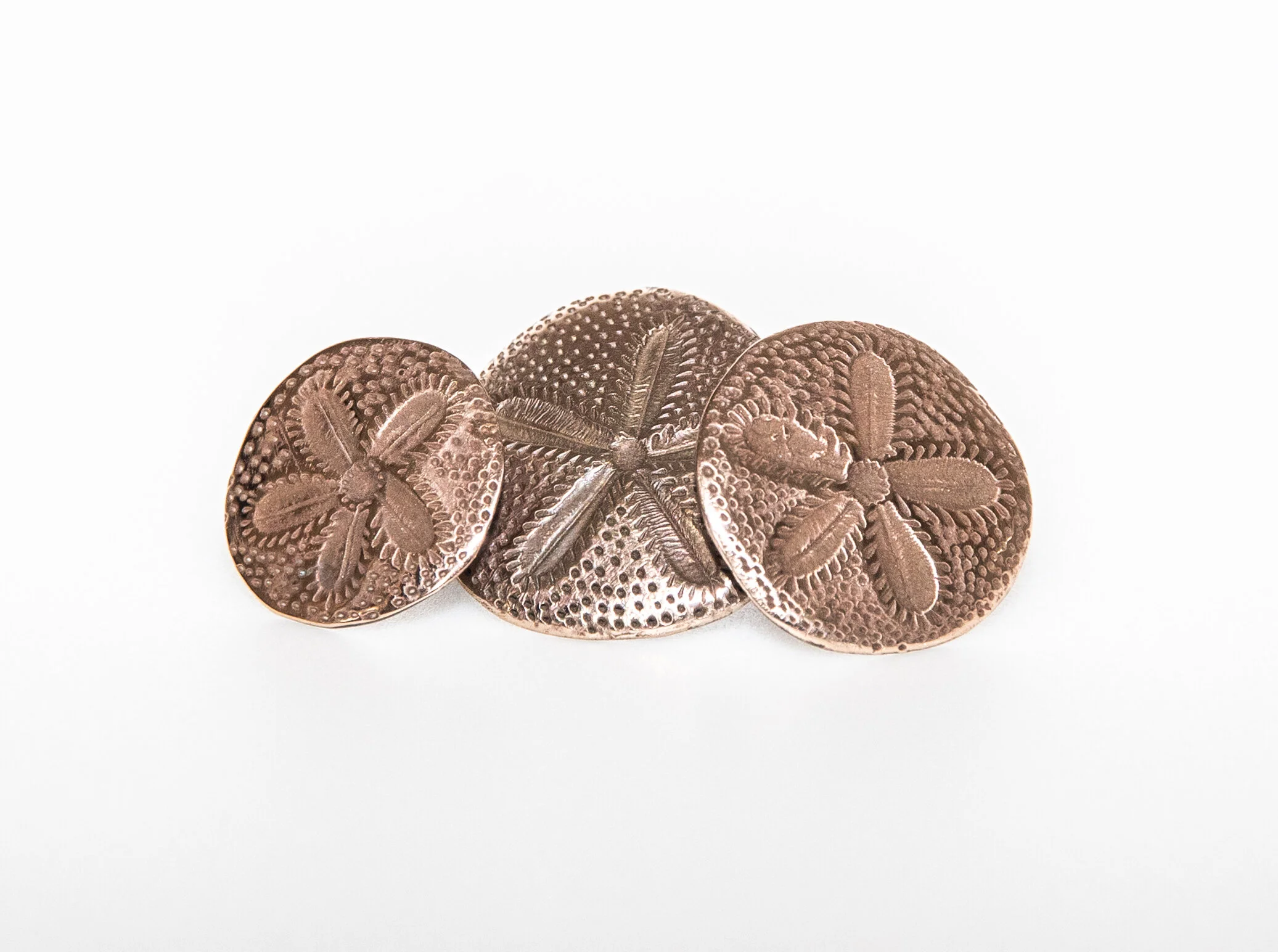 Sand Dollars