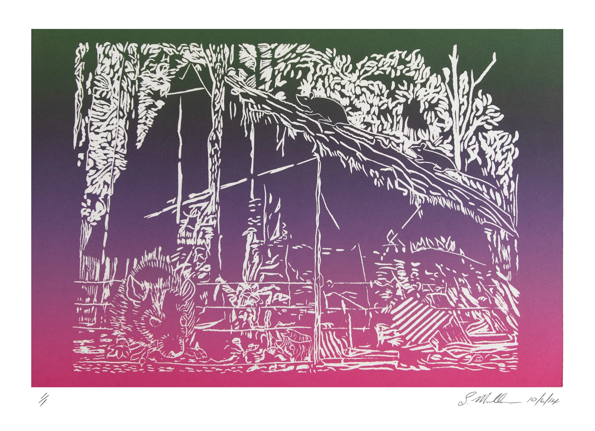 Fairweather Rattus I 2014