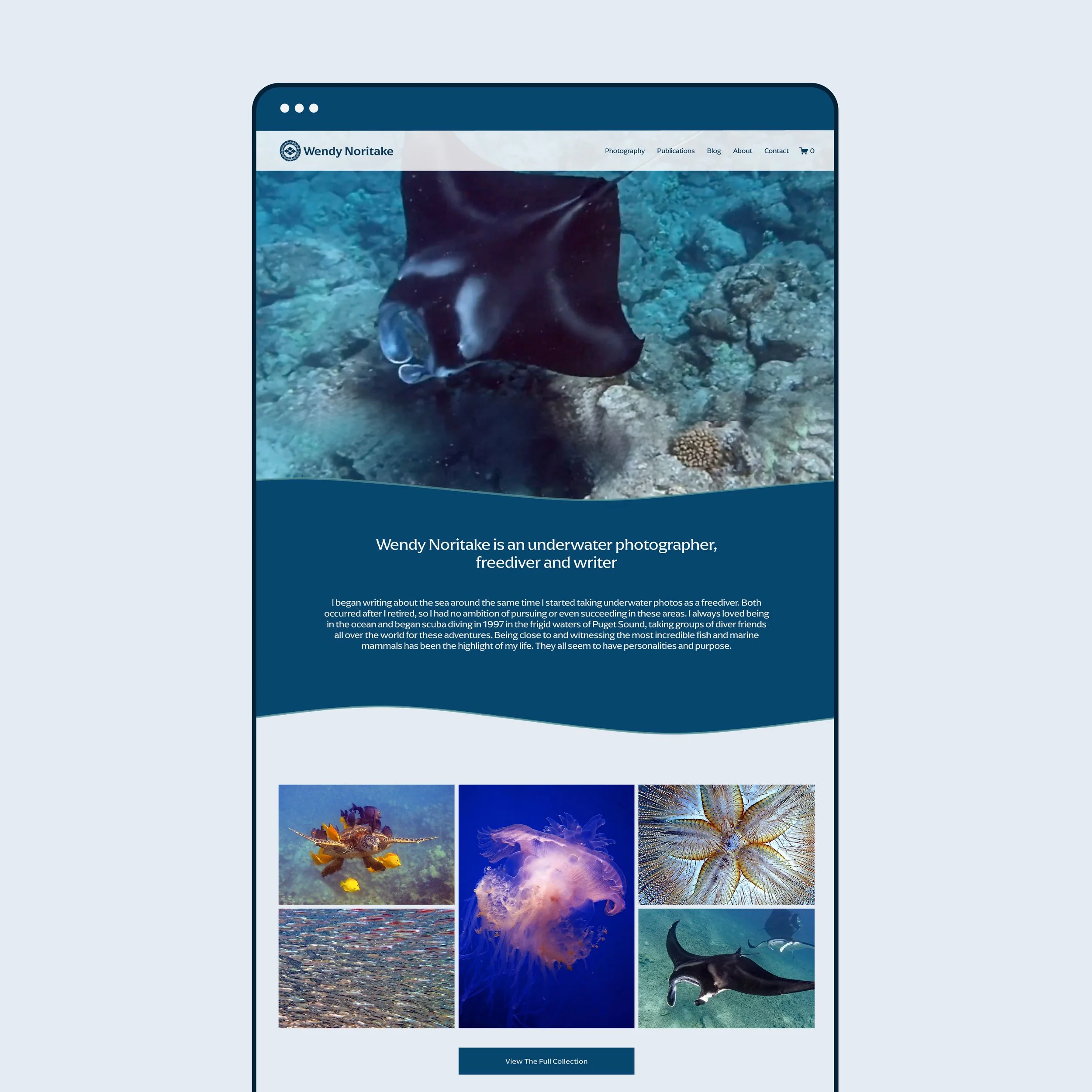 Wendy Noritake - Website