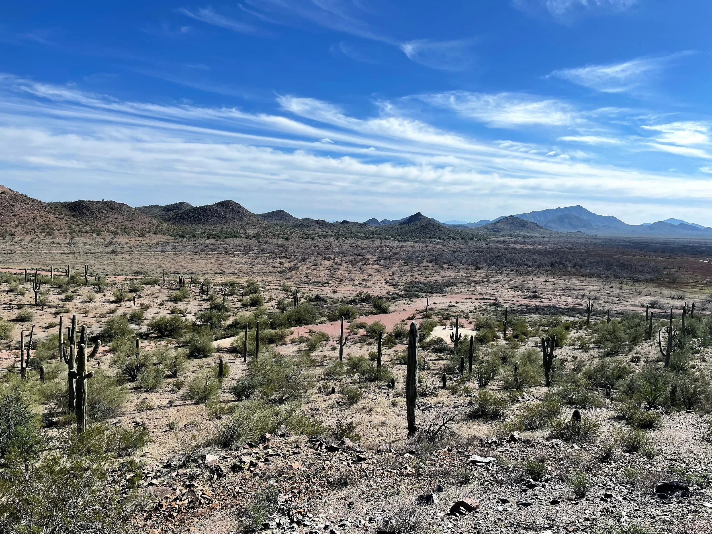 Desert Vista Near Lake Saint Clair - TON, Jan 2023.JPG