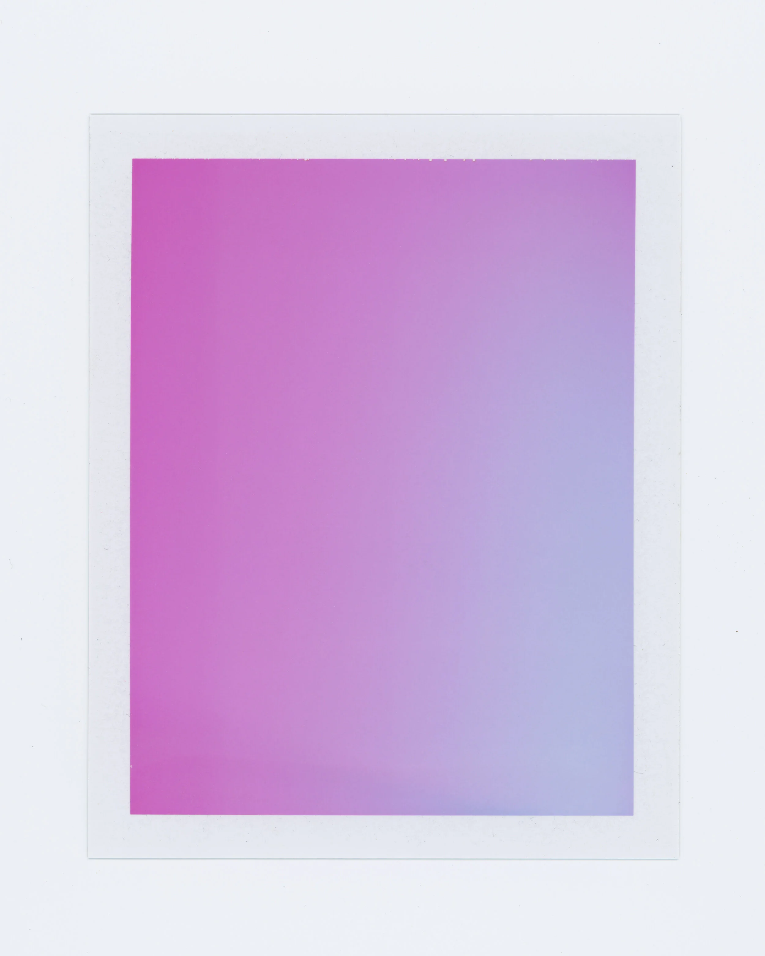 Fuchsia to Lilac, 2019