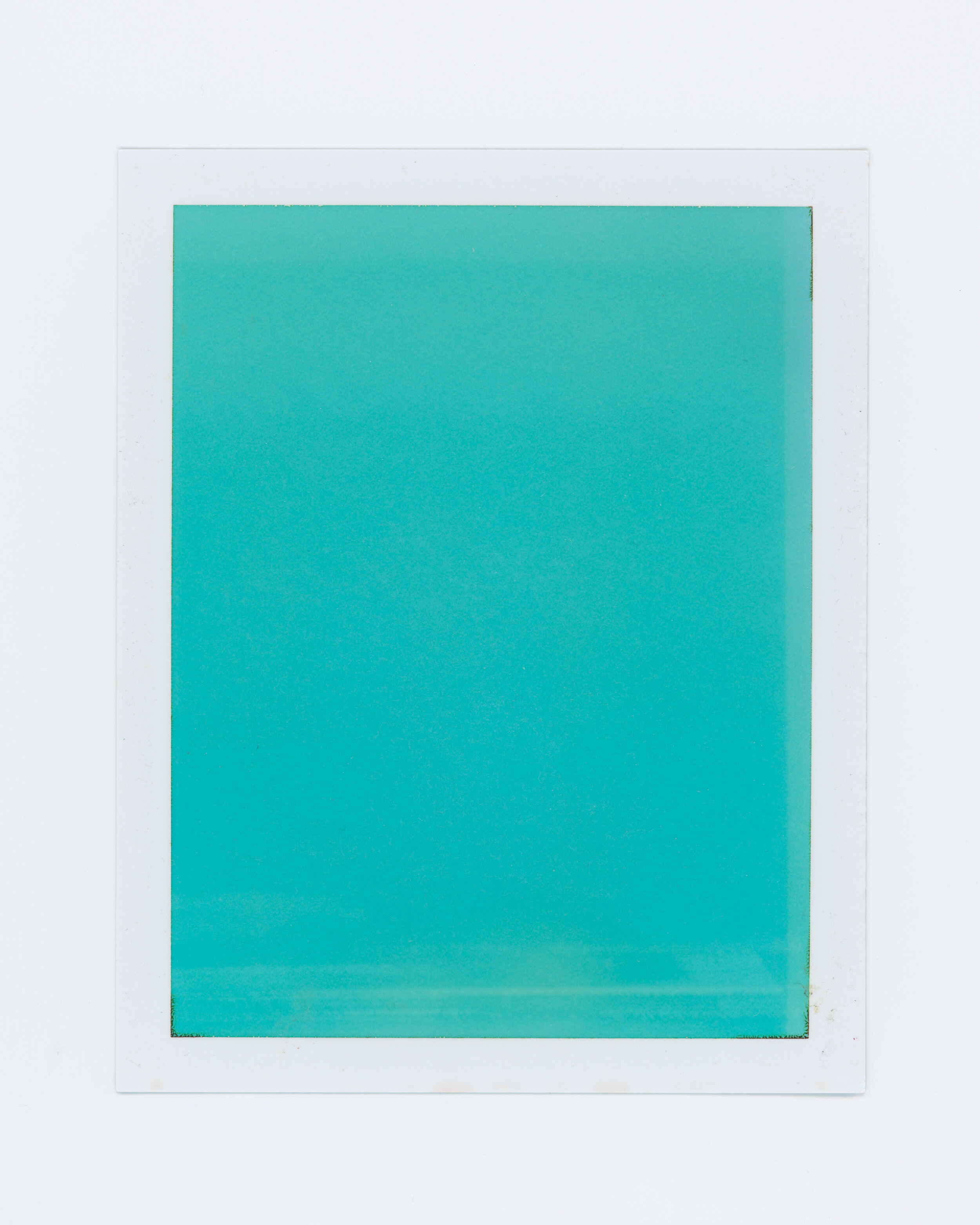 Turquoise, 2019