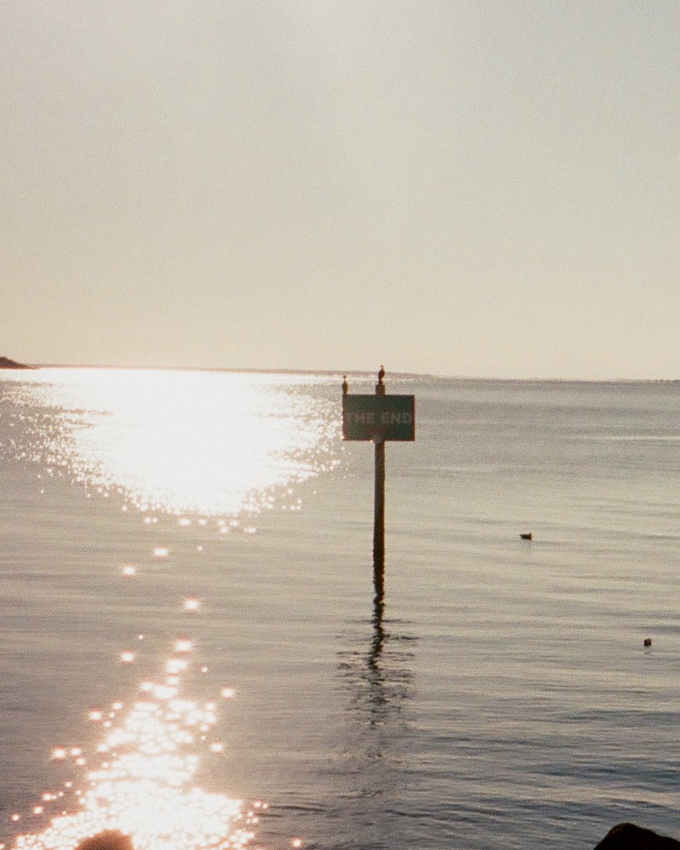 250906_FILM_35_Olympus_MTK_0008 2.jpg