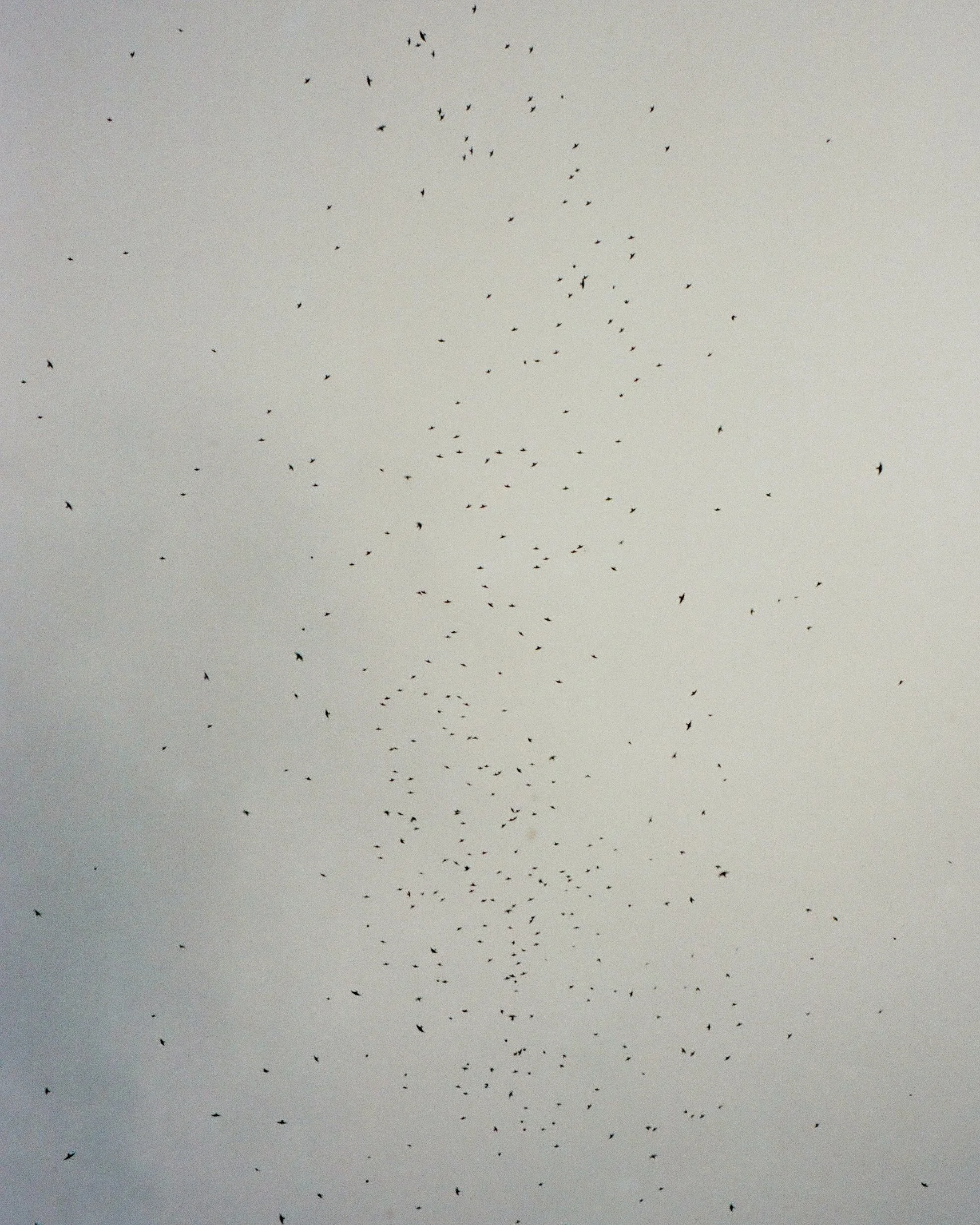 250906_FILM_35_Olympus_MTK_0017 2.jpg