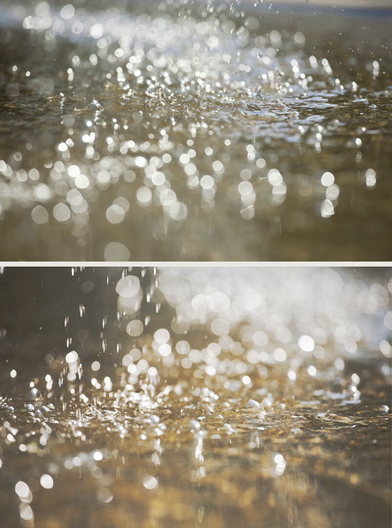 Bubble Diptych
