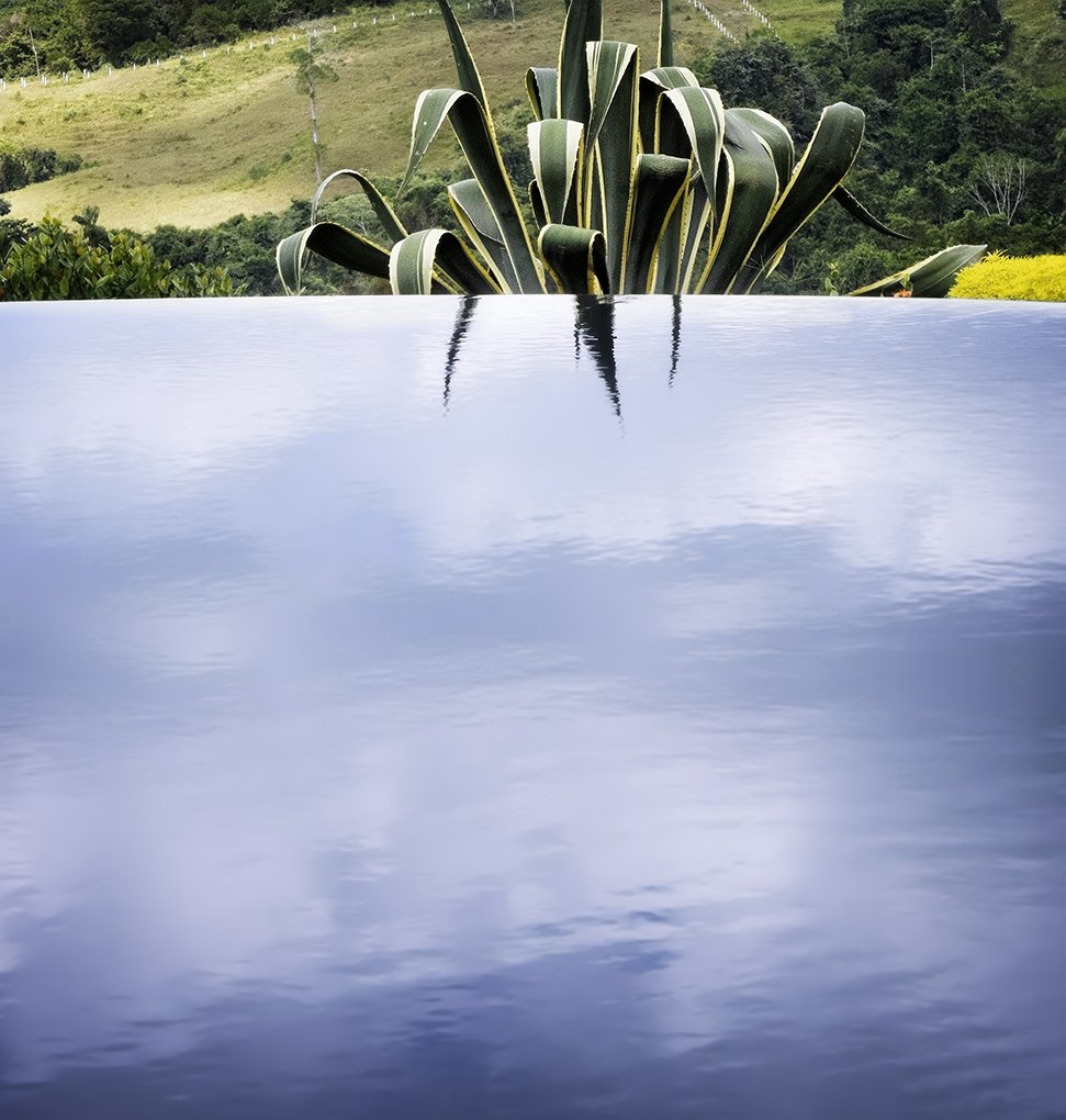 Morning Stillness
