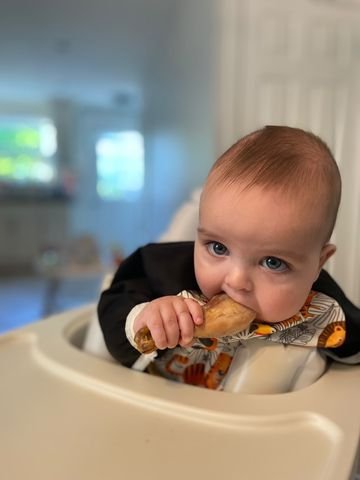 6 month old baby boy eating drumstick, baby-led weaning