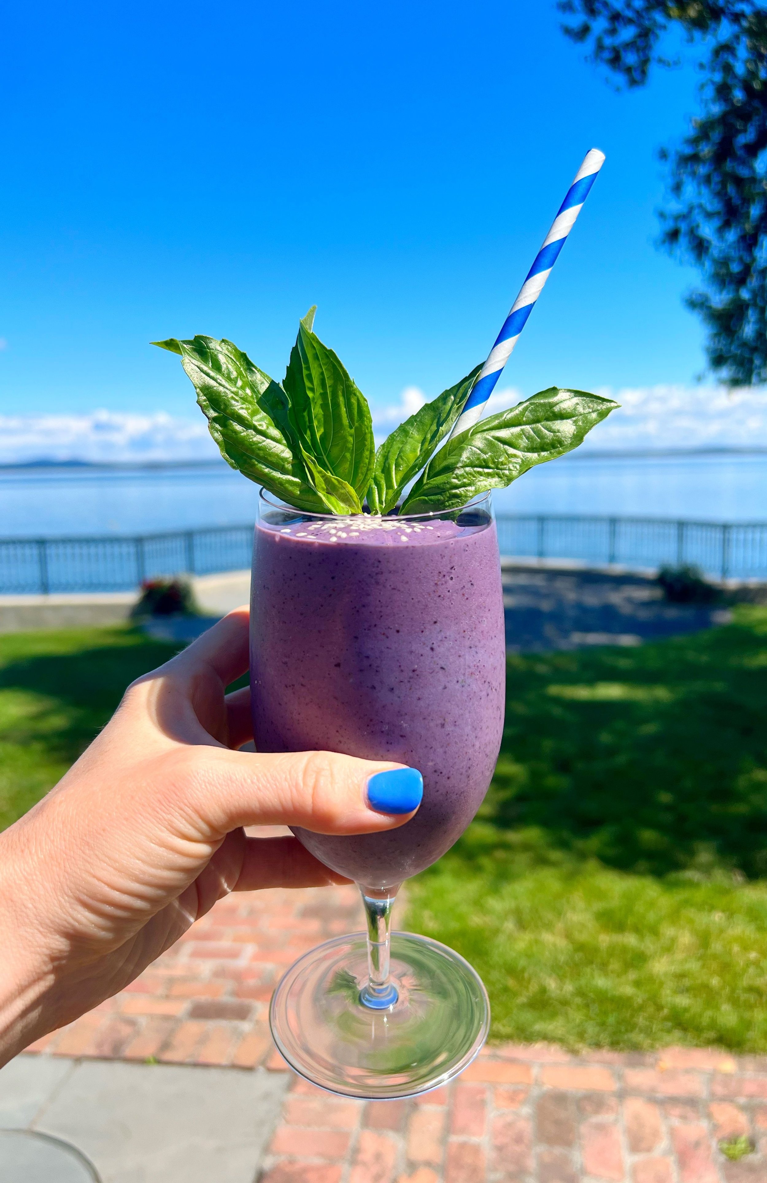 Blueberry Basil &amp; Tahini Dream Smoothie