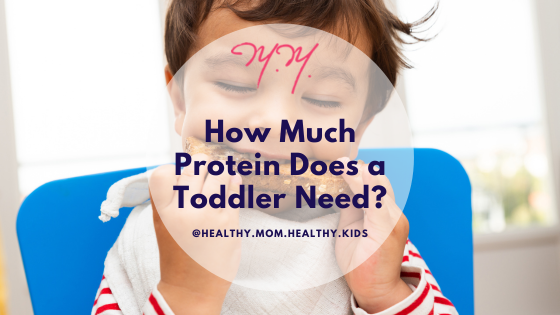 Discover toddler protein requirements here!