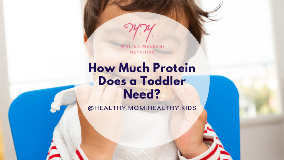 Read about toddler protein needs in this blog!