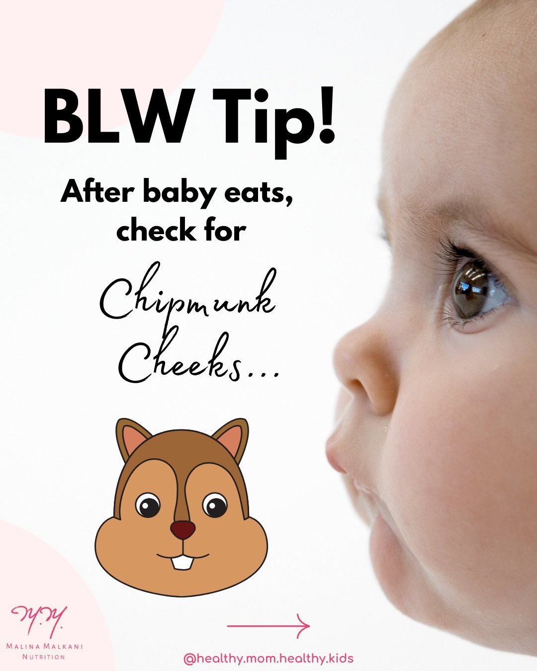 🐿️ When they are learning how to eat, some babies pocket pieces of food in their cheeks - i.e. &ldquo;chipmunk cheeks.&rdquo;⁠
⁠
I happen to think this is pretty darn cute, but it can also be dangerous if they&rsquo;ve pocketed food and you aren&rsq
