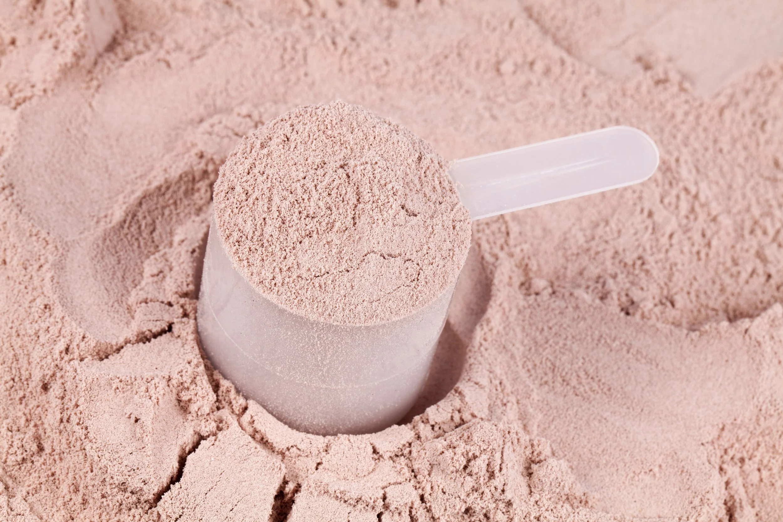 Scoop of chocolate protein powder
