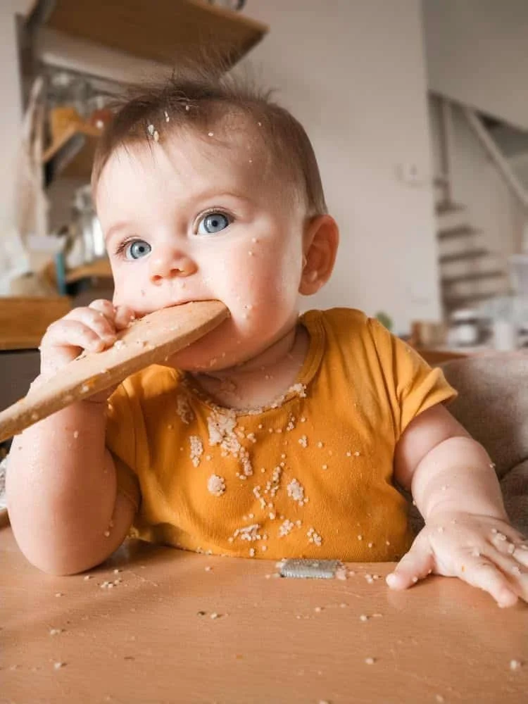 Infant girl mouthing wood spoon at mealtime