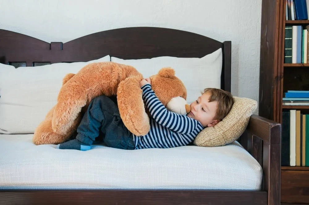 Young male child with stuffy, relaxing against pillow