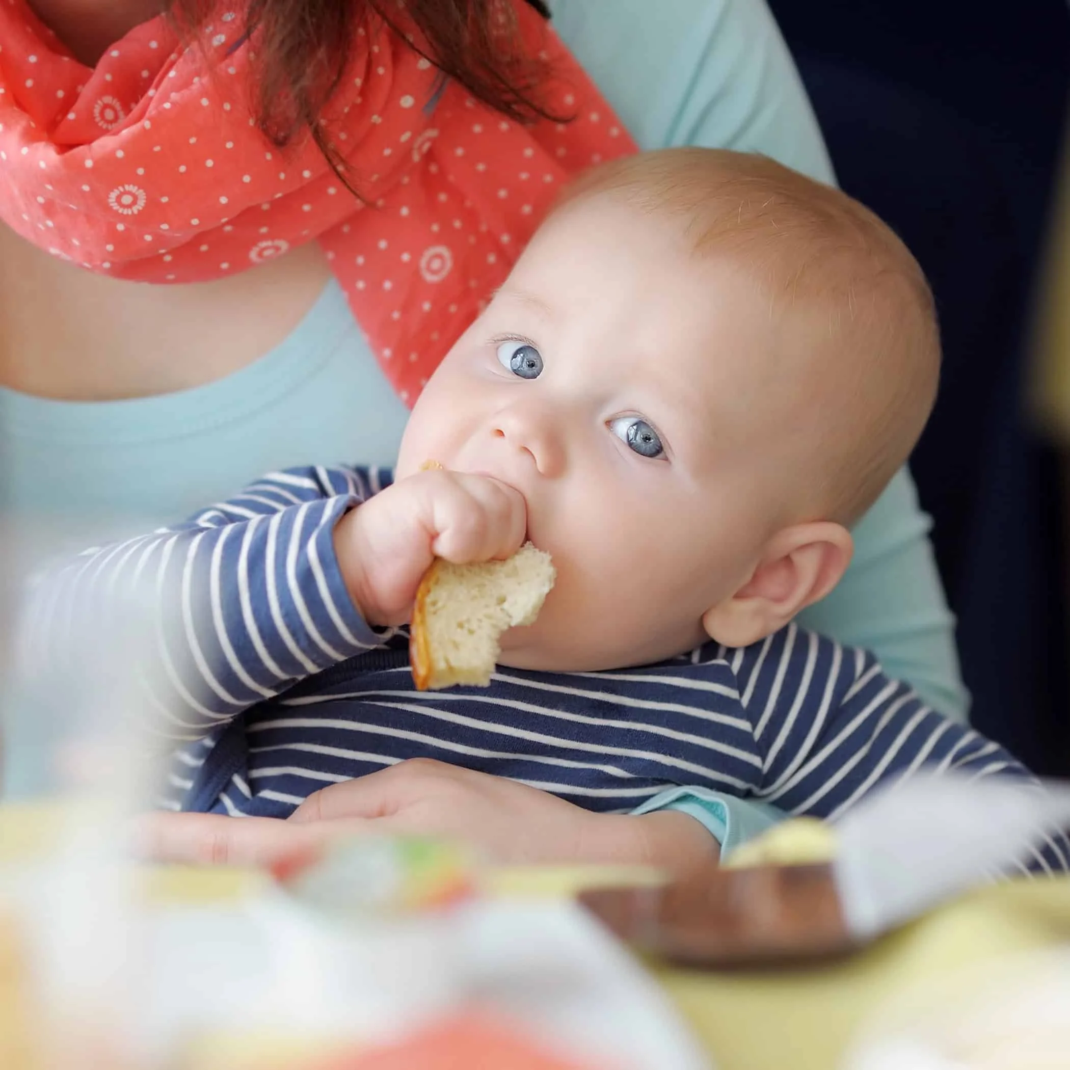 Male Infant Chewing on Wheat Bread