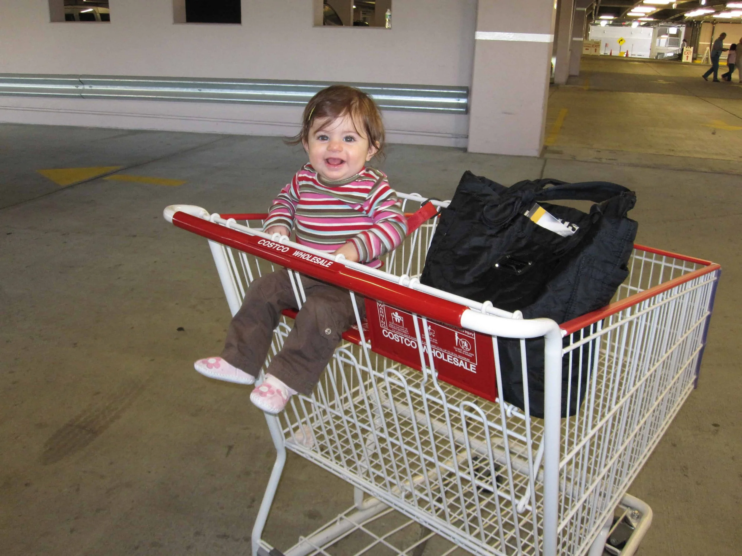 Infant girl in shopping cart with purse