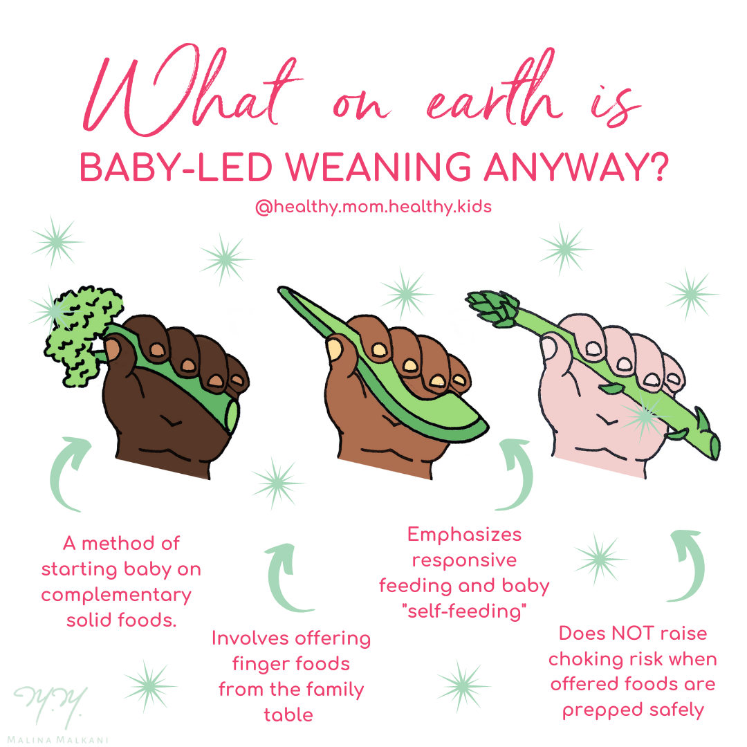 Baby-Led Weaning Guide and First Foods
