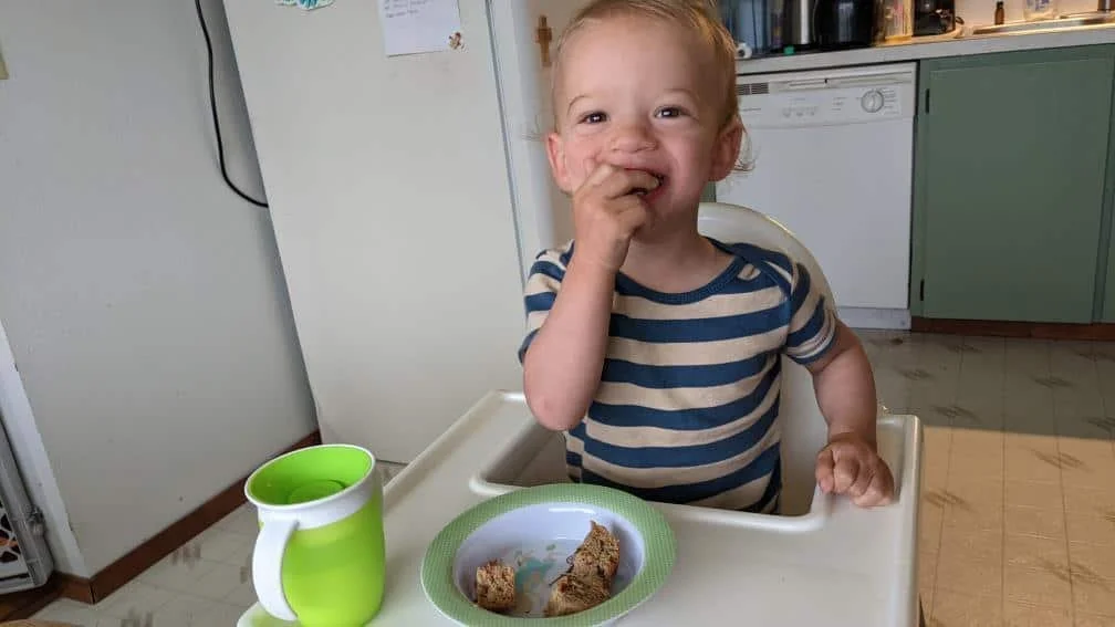 Young male child eating baked egg muffin