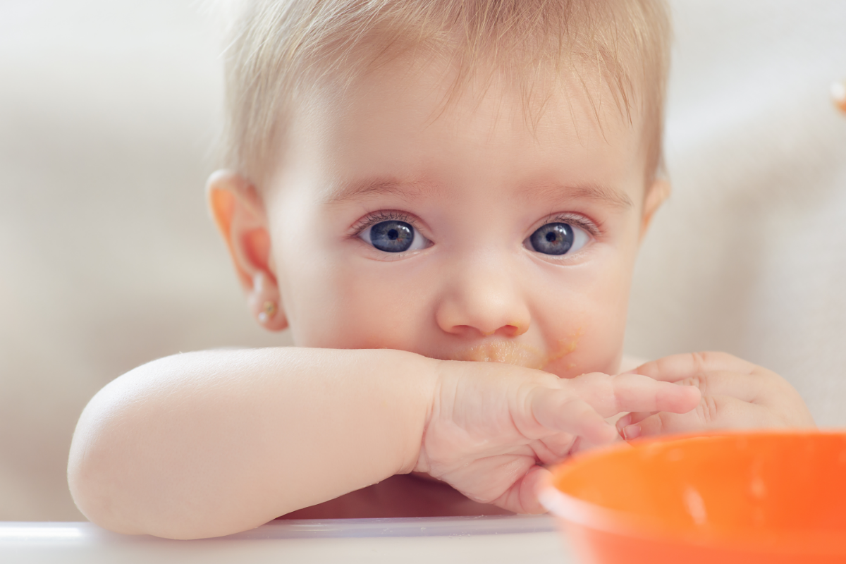 Baby Salt Jars for 4 Months Babies - Baby Bio