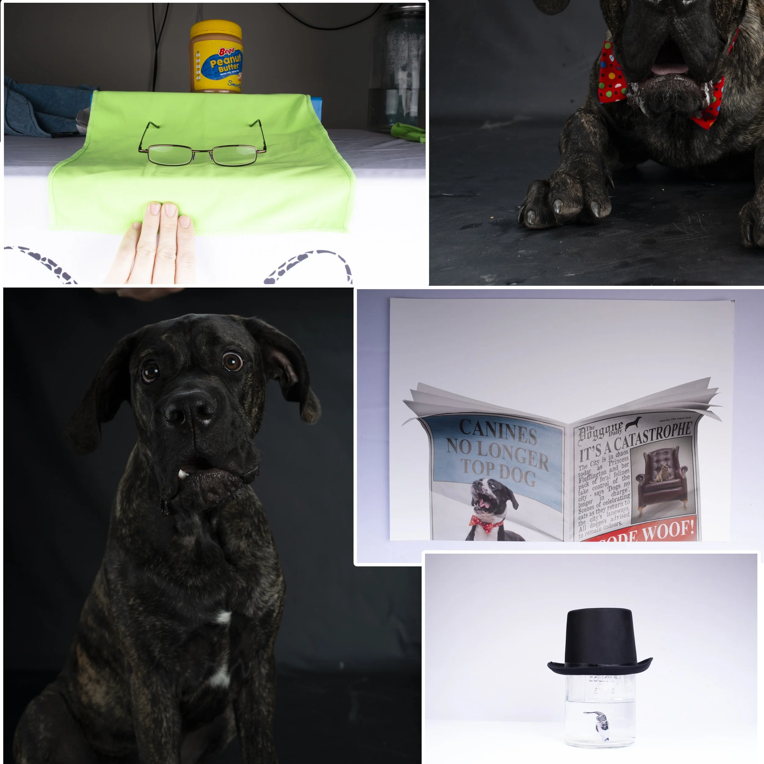 Oh My Dog. Look at Those RAW Files.