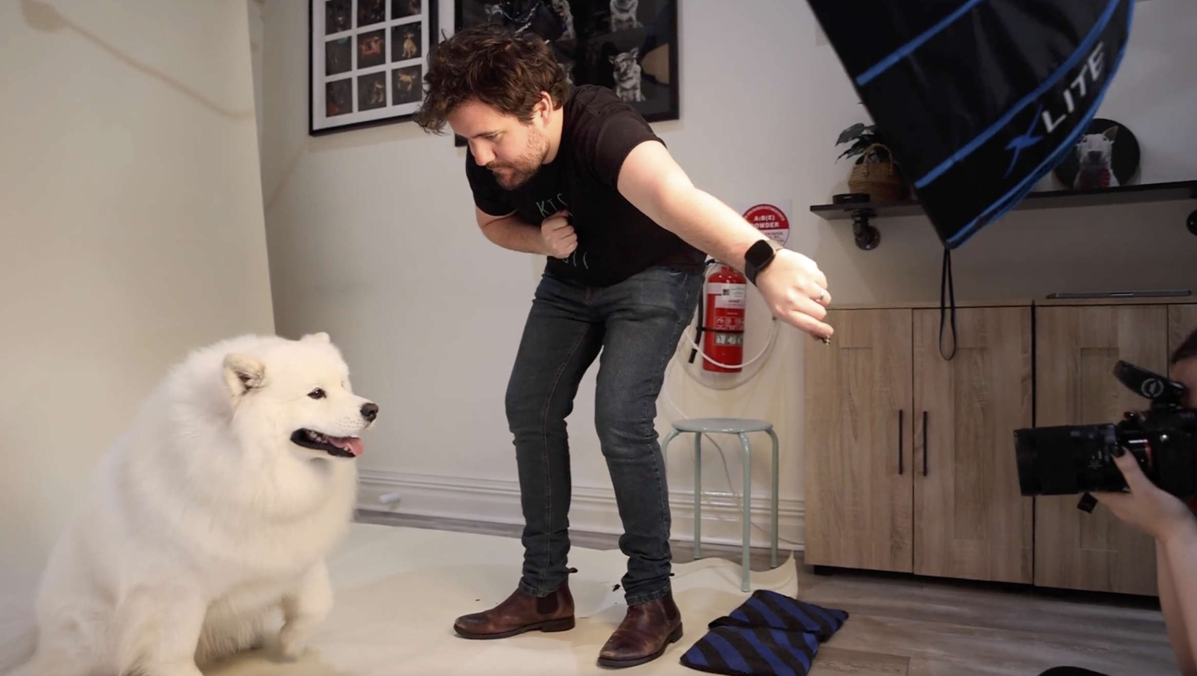 When the Dog Is Perfect but the Human Needs Training