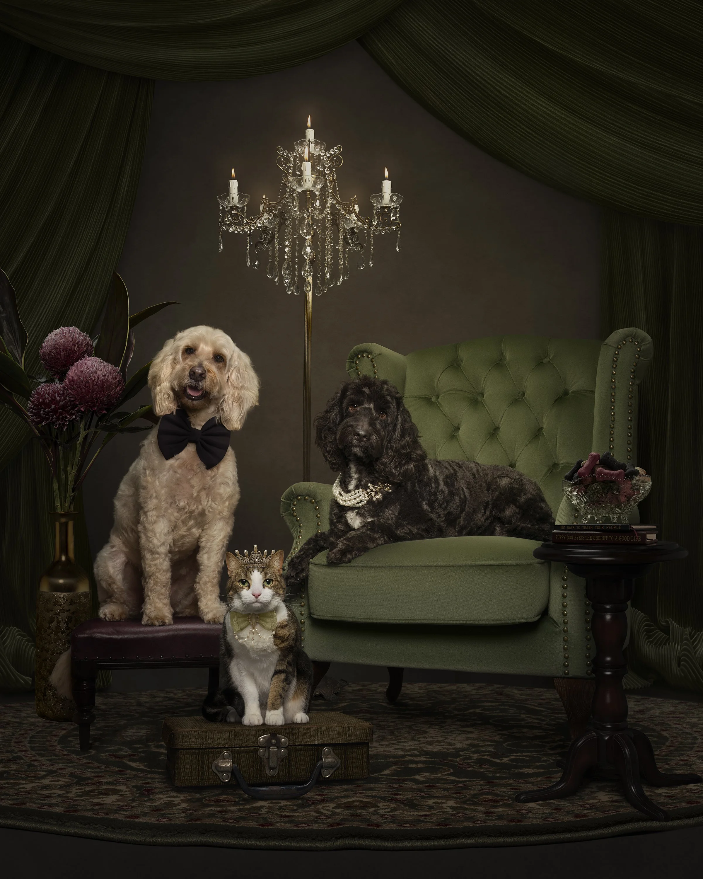 High Society Tails.jpg