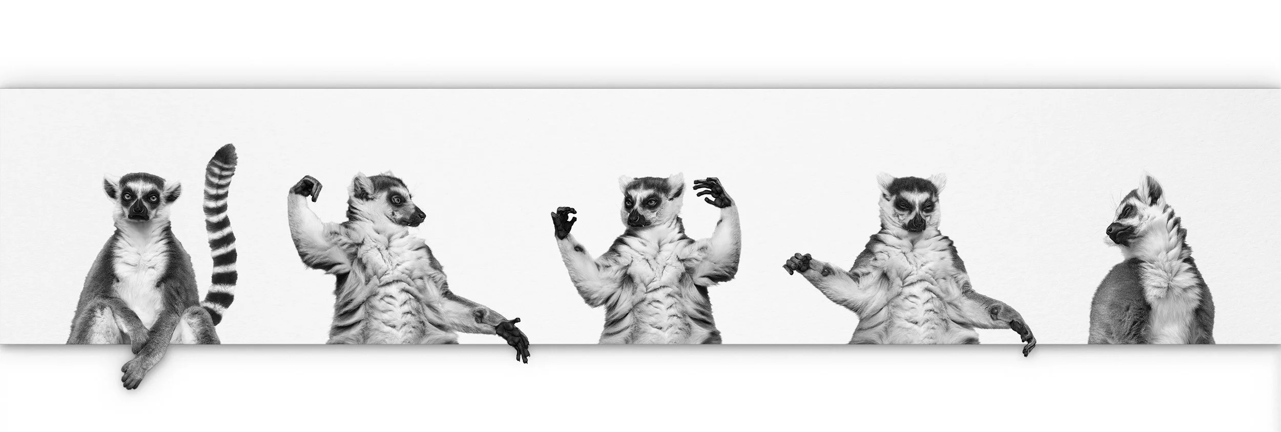 I lLike To Move It.jpg