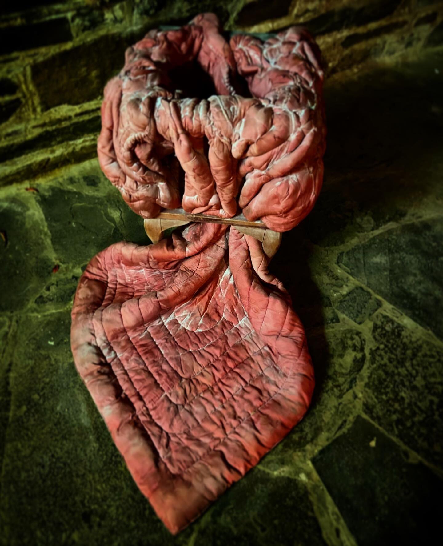 &lsquo;Easily bruised&rsquo; - one of Nicola Lay&rsquo;s confronting and powerful works currently showing @edgegalleries in Maldon. Great to have this new gallery in the neighbourhood- evocative spaces including the cellar which is a perfect location