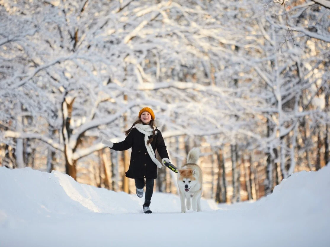 Adelaide Landing New Residential Community in Hugo, Minnesota