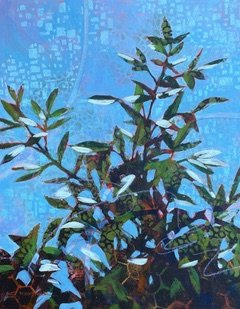 Christine Fortner
