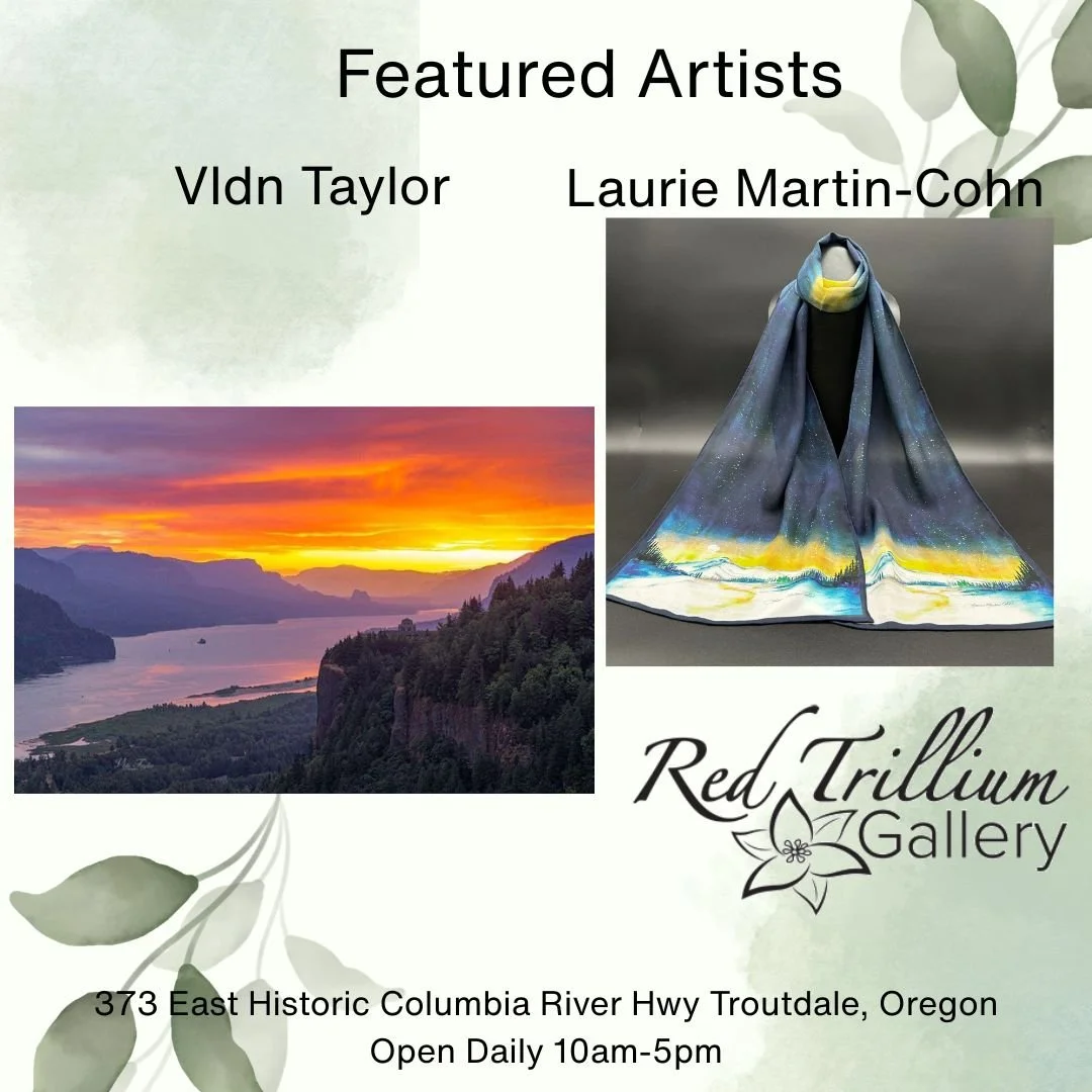 😱Mind Blowing!  Vldn Taylor&rsquo;s stunning photography can bring the beauty of Oregon into your home!  Laurie Martin-Cohn imagined Northern Lights over Mount Hood.  She took that photo and made it into a silk scarf, a perfect Mother&rsquo;s Day gi