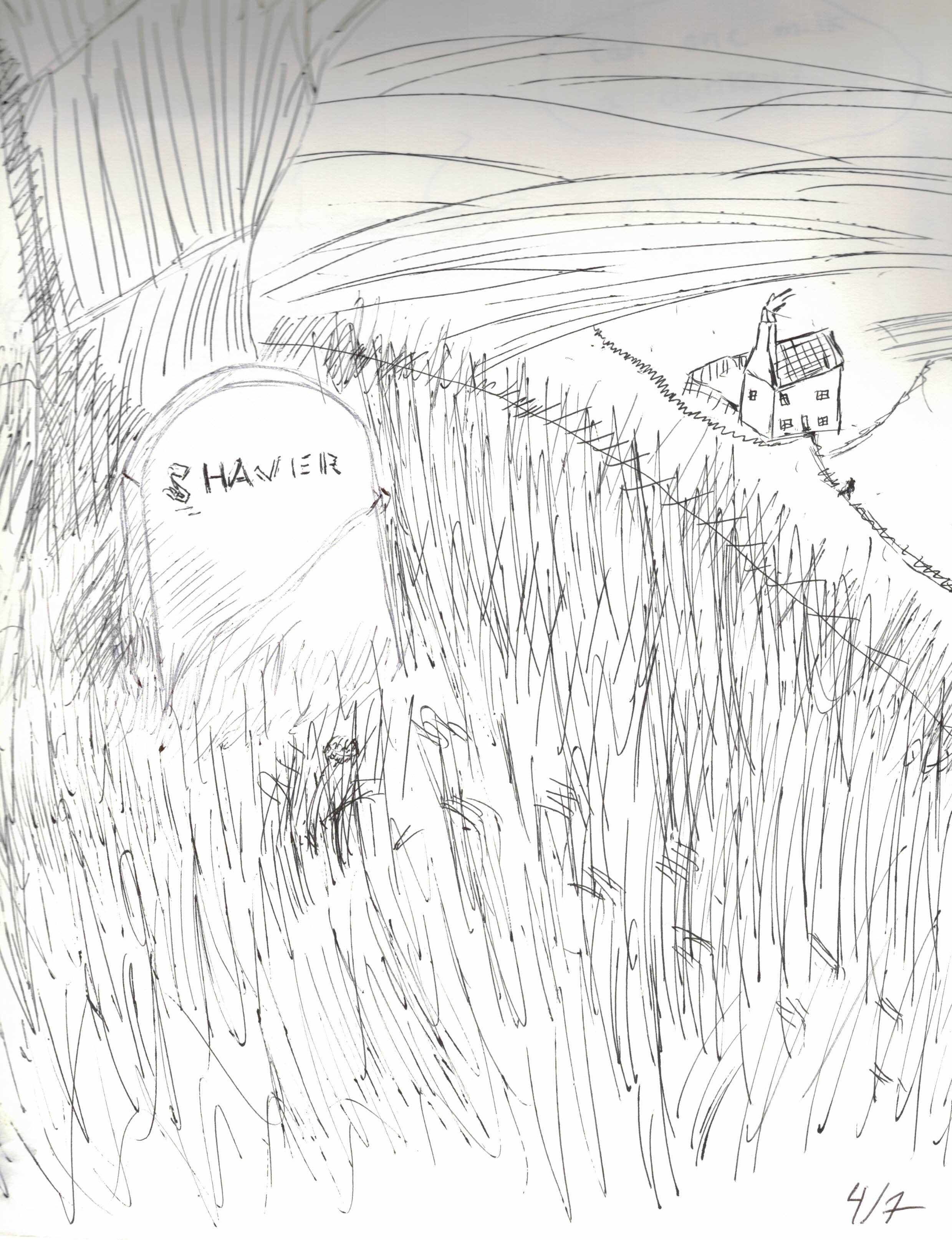 shavier.png