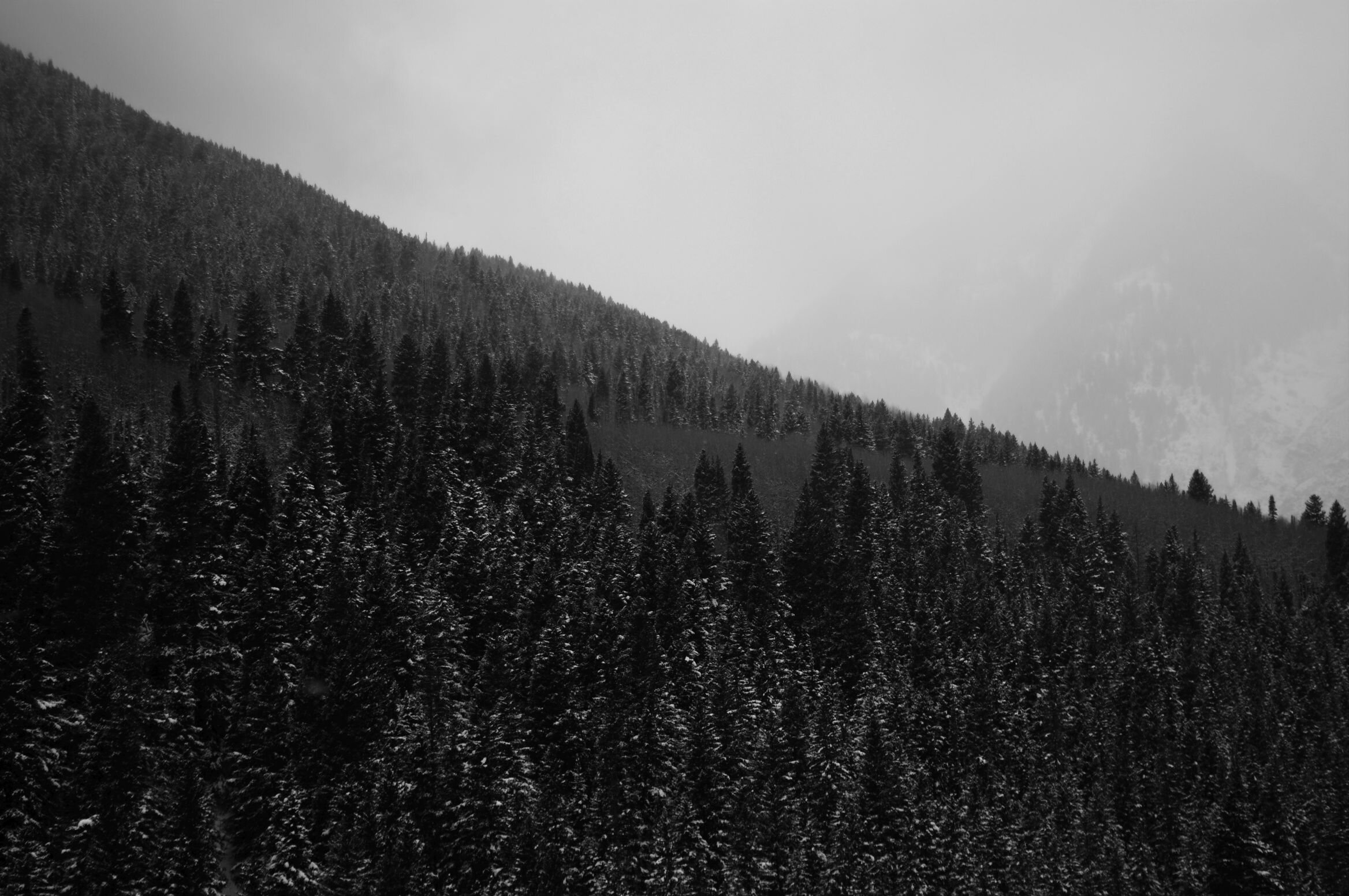 1454477861673.jpg