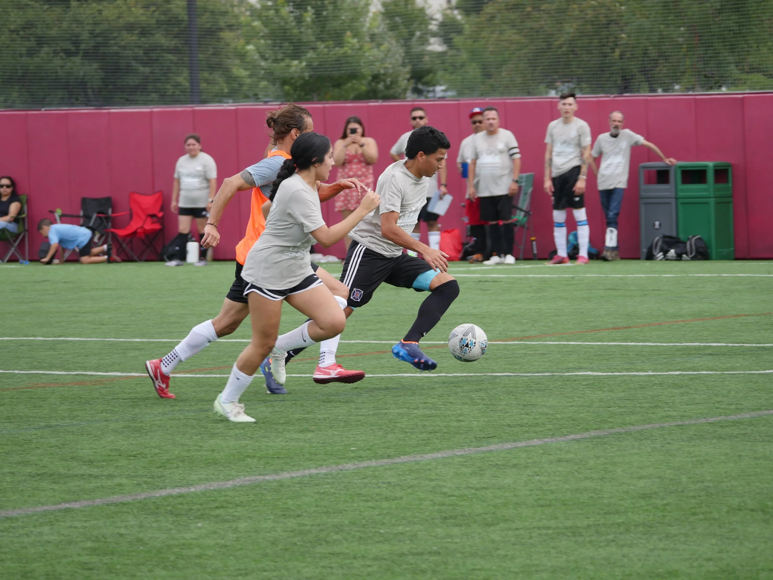 Copy of P1360578.JPG