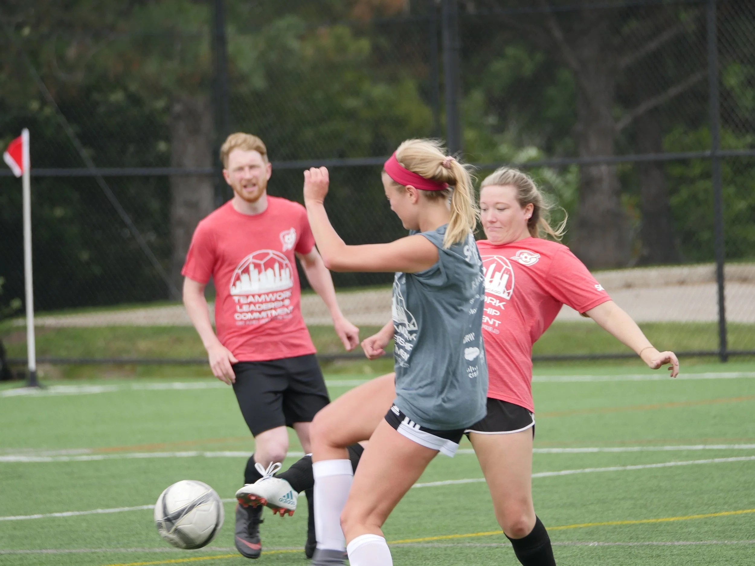 Copy of P1360641.JPG