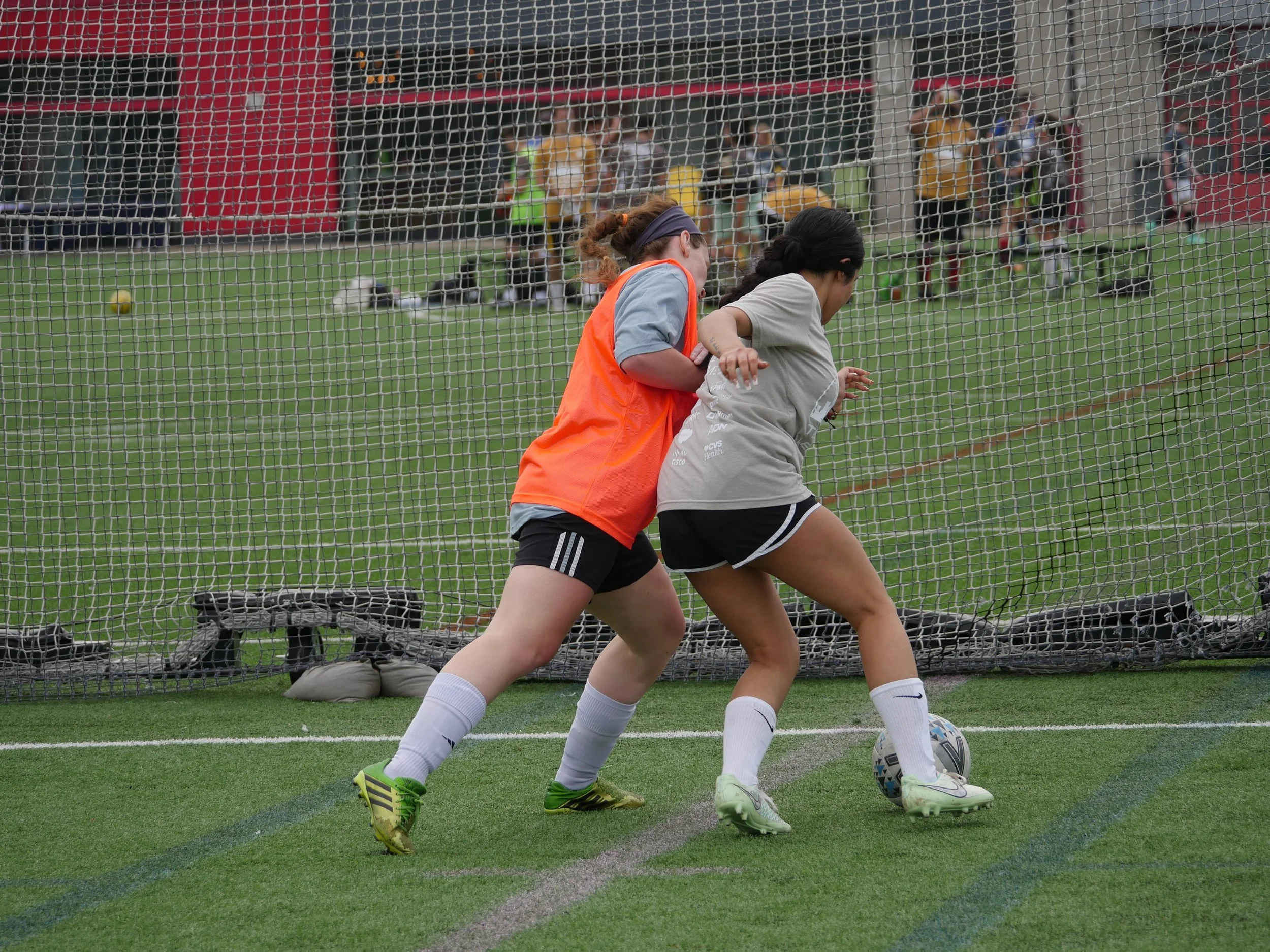 Copy of P1360692.JPG