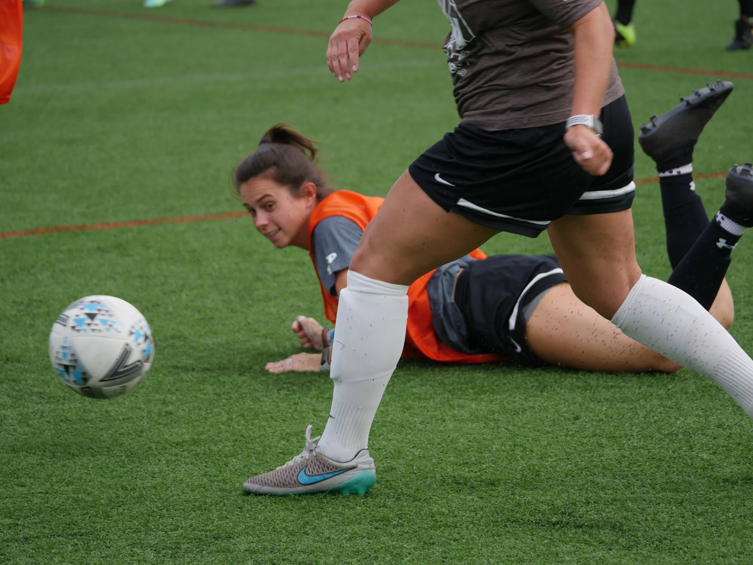 Copy of P1350975.JPG