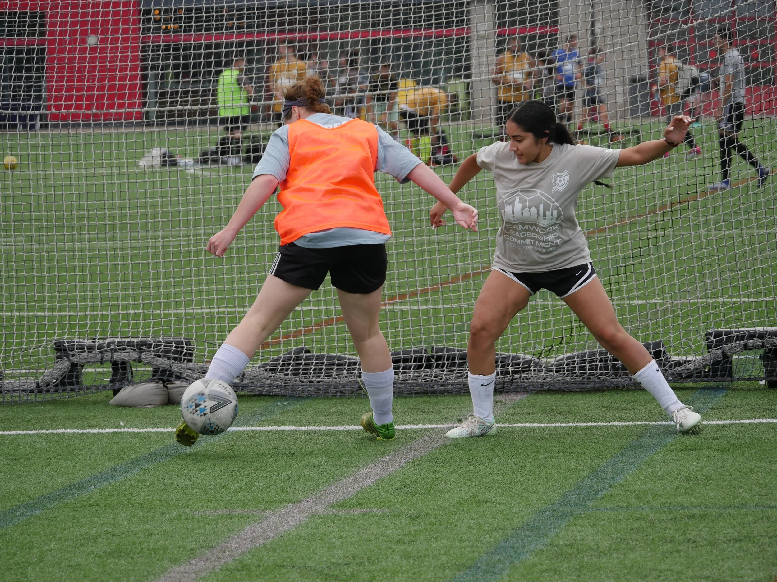 Copy of P1360699.JPG