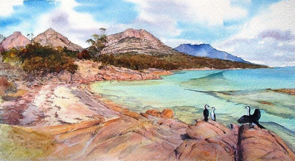 honeymoon bay_shags_ freycinet.jpg
