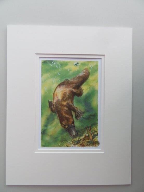 LEP+with+mount+platypus+%281%29.jpg