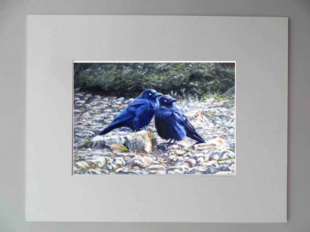 raven in mount copy.jpg