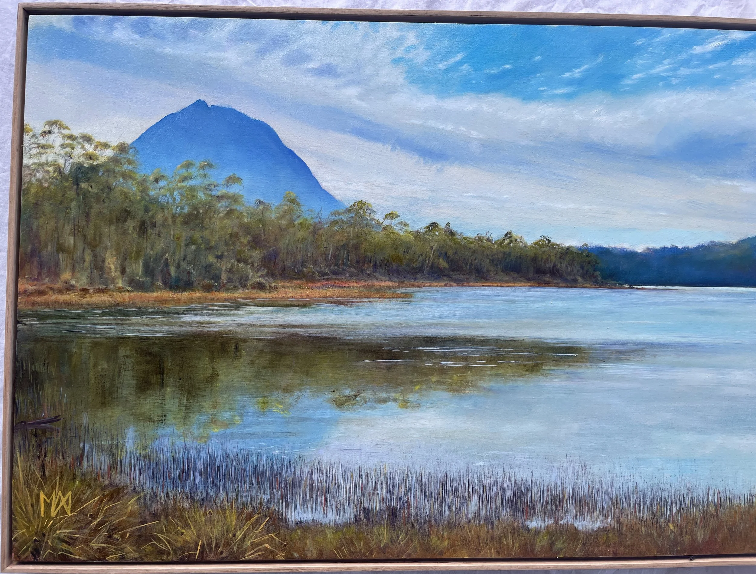 Mt Pelion west and Mt Oakleigh from Lake Ayr. Pelion detail