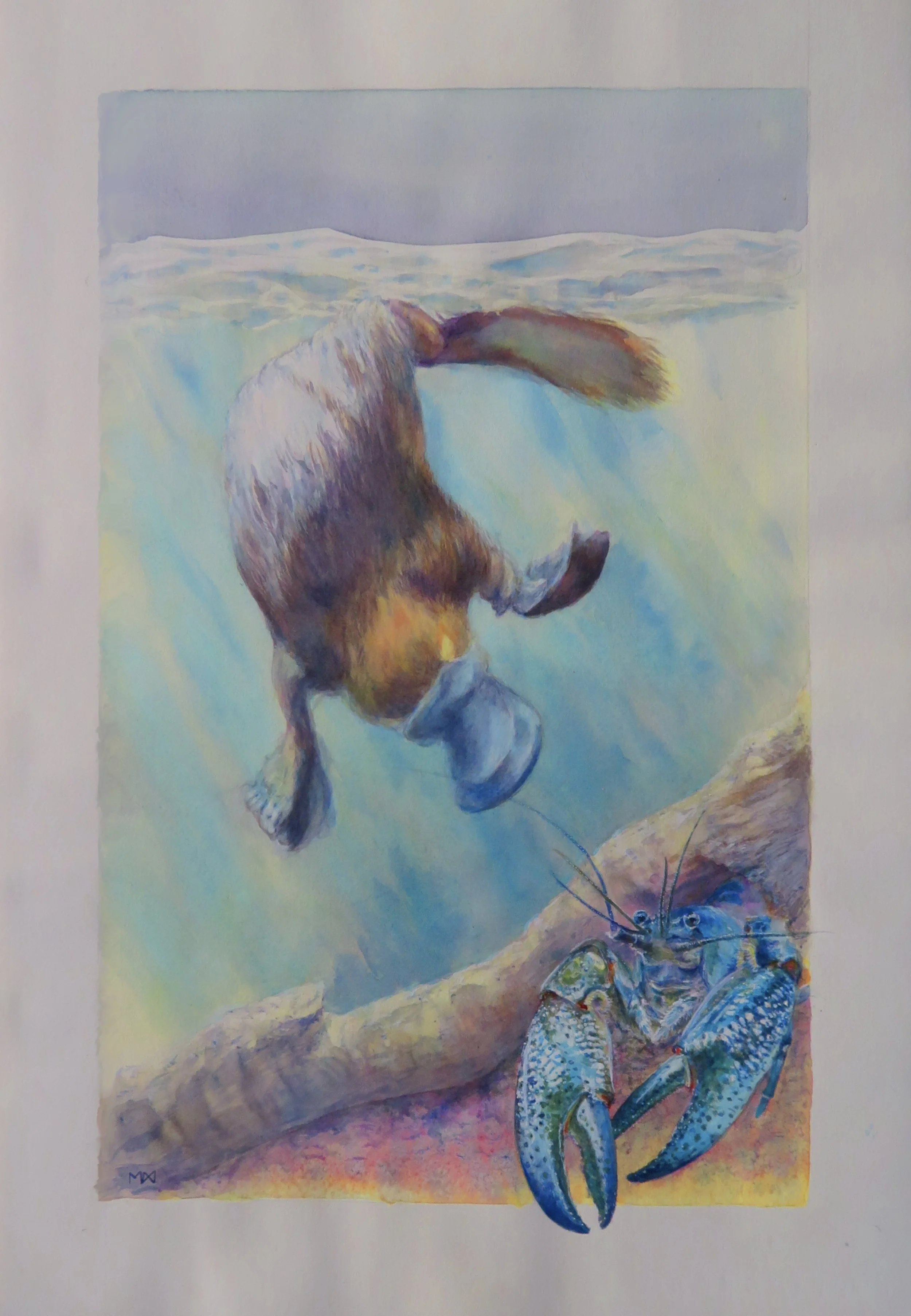 Platypus_print 2025.jpg