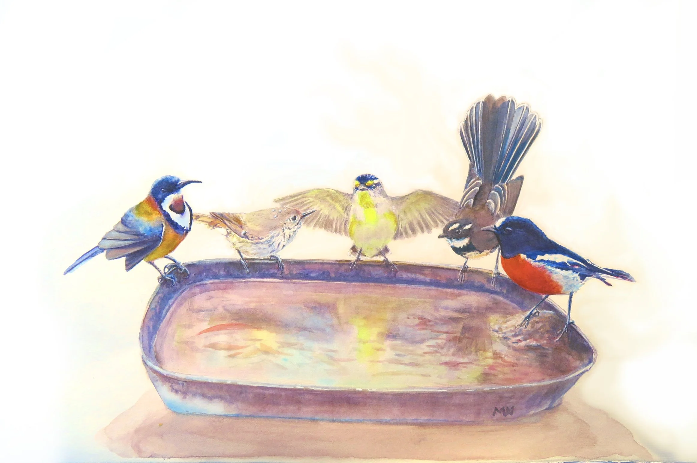 Waterhole tales final version.jpg