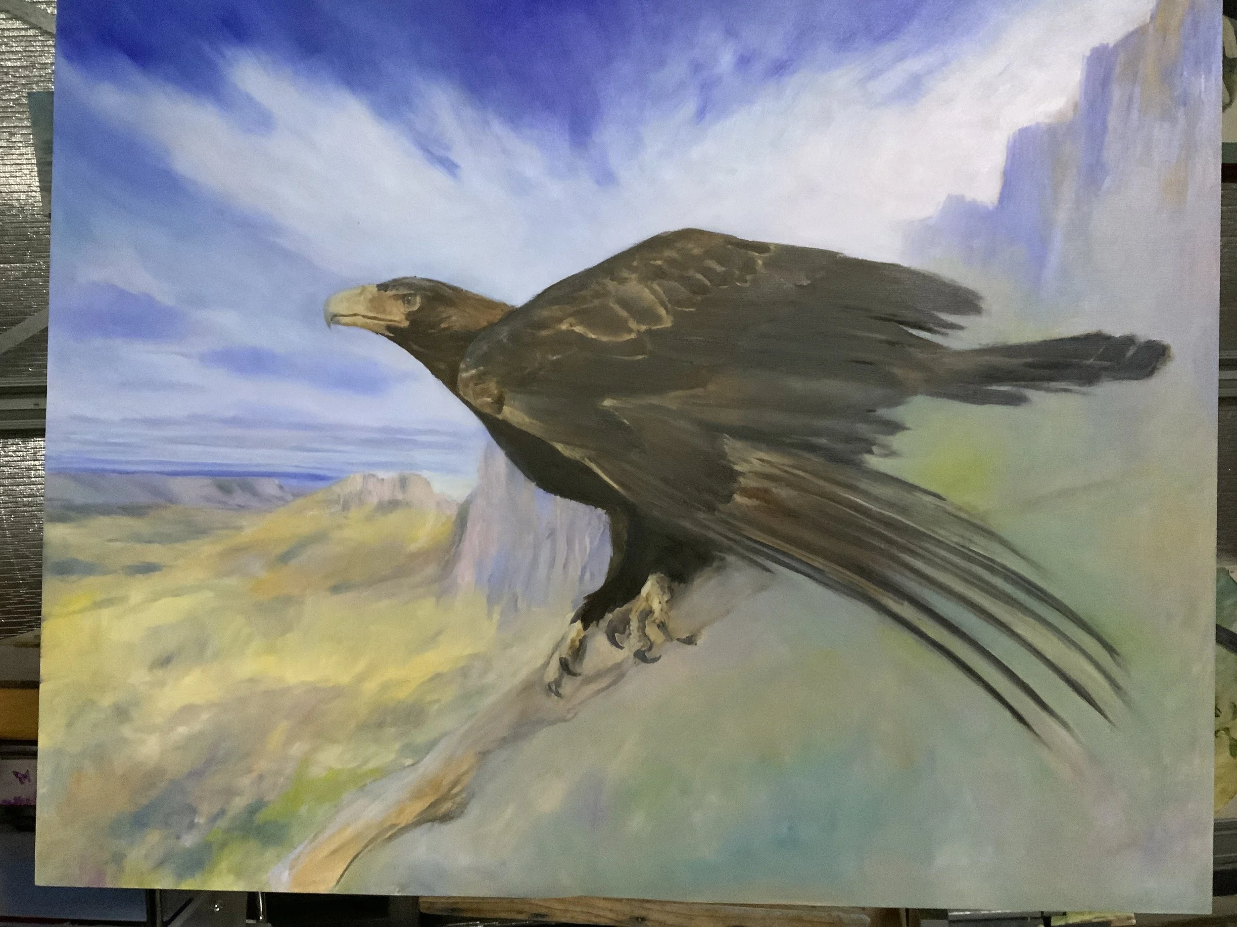 Launch stations. A wedge-tailed Eagle at Big gun Pass. Ducane Range. Oil on board. Progression.
