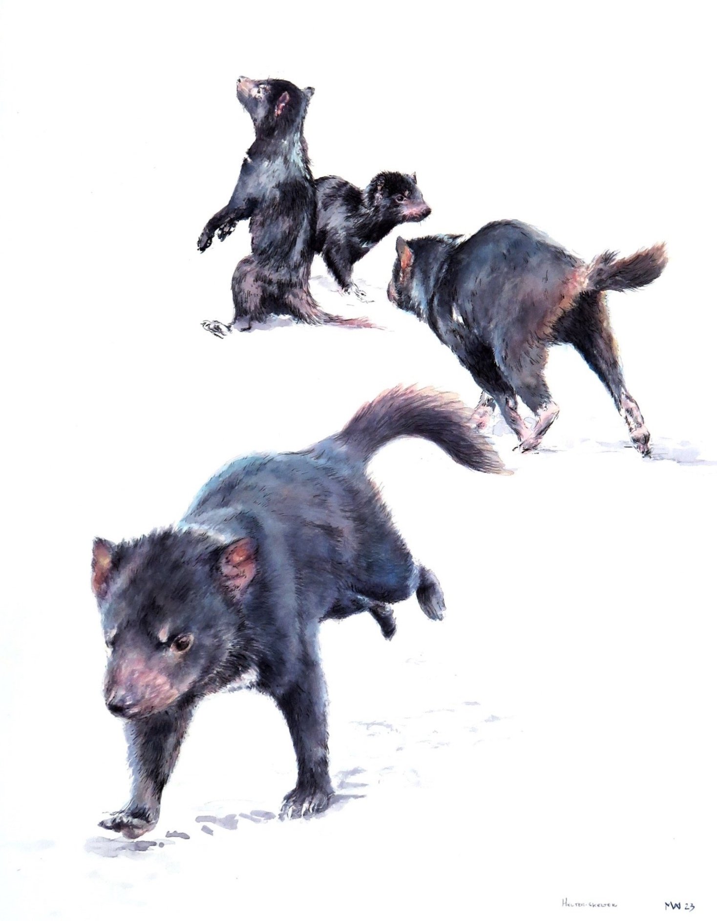 Helter%2Bskelter%2Badjust%2Band%2Blarge%2Bcrop%2Bwatercolour%2Bmel%2Bhills%2B%2Boct%2B2023.jpg