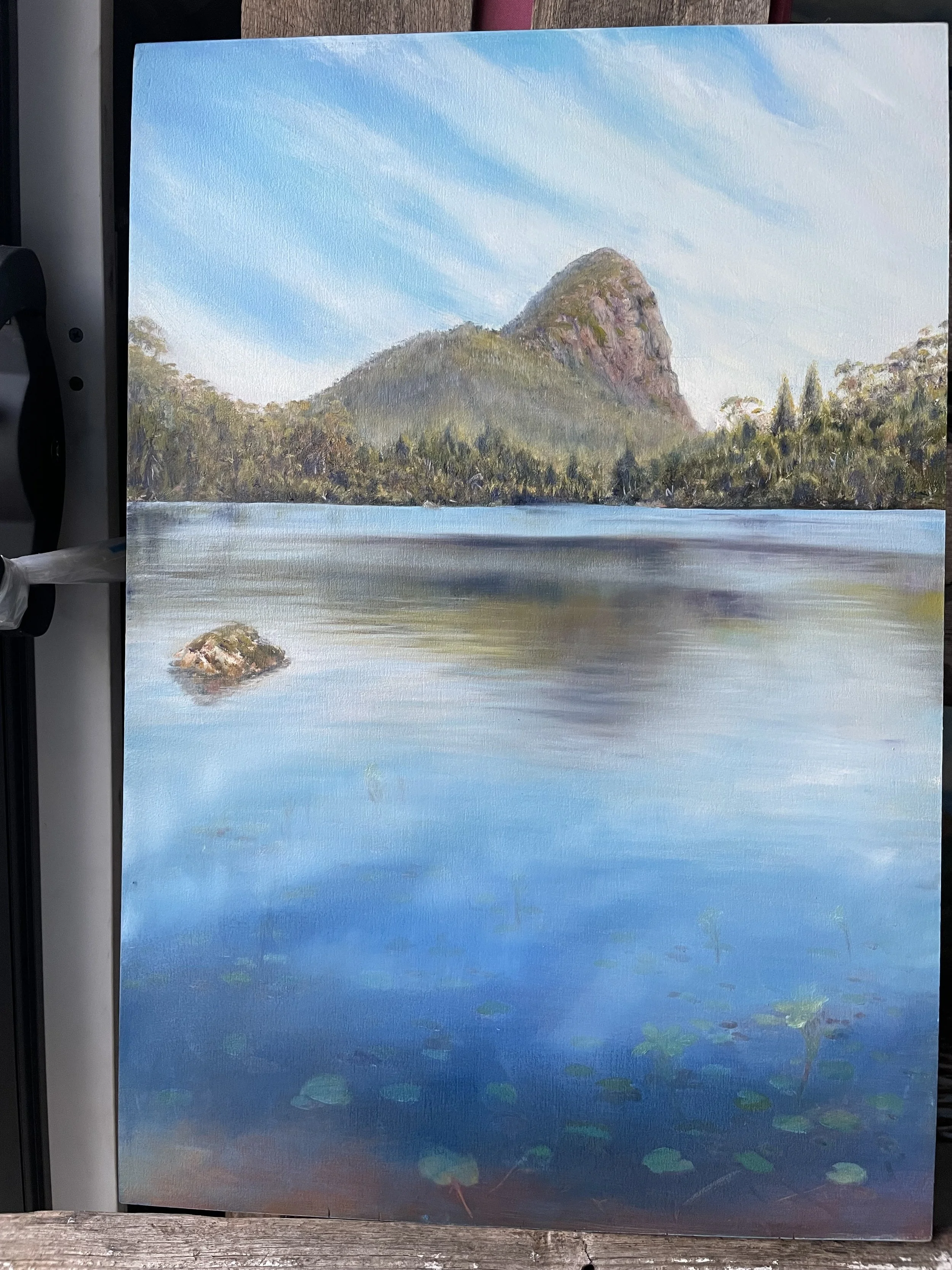 Mt Pillinger oil on board progression